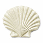 Lacre concha 3D Marfil